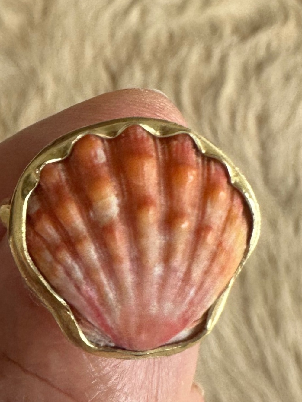 18K Sunrise Shell Ring